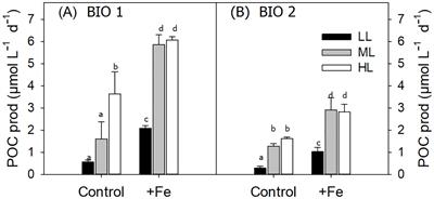 Distinct responses of diatom- and flagellate-dominated Antarctic phytoplankton communities to altered iron and light supply